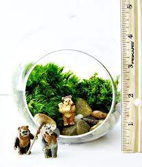 Star Wars Cube Terrarium With Vintage Ewok Figurine Etsy Star Wars Diy Mason Jar Art Ewok