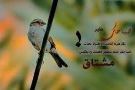 صور رمزيات صباح الخير اجمل و احلى صور و رمزيات صباحية للواتس اب و الفيس بوك و تويتر رومانسية صور جميلة Photo Photo Image Image