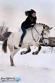 صور خلفيات بنات راكبات الخيل 2020 الصفحة العربية Horses Horse Love Pretty Horses