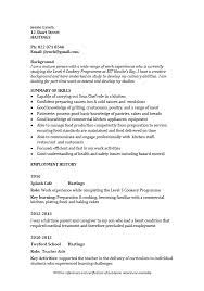 Cv Formats And Examples