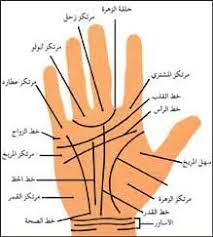 قراءه كف اليد 1 Book Qoutes Philosophy Books Magick Book