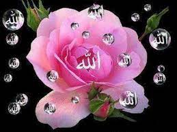 The 99 names of allah also known as the 99 attributes of allah, according to islamic tradition, are the names of allah revealed by the creator (الله) (allah) in the qur'an. Allah Name On Flower Payamber