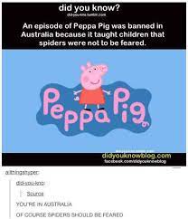 29 Times Australians Were The Realest On Tumblr Tumblr Funny Australia Funny Funny Posts