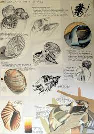 International Gcse Art Sketchbook Examples Art Sketchbook Sketch Book Gcse Art Sketchbook