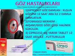 Tobrased Goz Damlasi Kedi