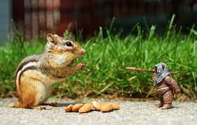 32 Funny Animal Pictures Funny Animal Pictures Animals Cute Animals Puppies