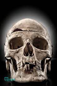 صور جماجم مرعبة جدا 2019 خلفيات جماجم نارية كيوت ملونه Hd 5 Skull Anatomy Real Skull Skull