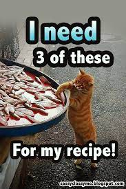 Top 10 Funniest Cat Memes I Need 3 Of These For My Recipe Quotes Memes Cat Funny Hilarious Sassycla Funniest Cat Memes Funny Cat Memes Cat Memes