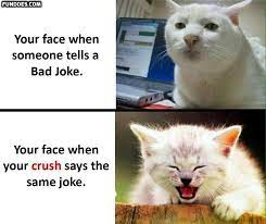 Top 100 Funny Crush Memes That Are So True Funny Memes Sarcastic Funny Crush Memes Cat Quotes Funny
