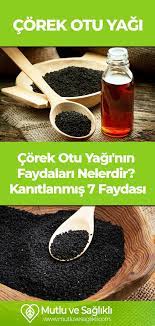 Corek Otu Yagi Nin Faydalari Nelerdir Kanitlanmis 7 Faydasi Otlar Corek Otu Saglikli Yasam