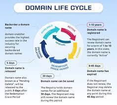 Top Level Domain Names A Comprehensive Overview Nearbrand Top Level Domain Online Organization Internet Protocol Address
