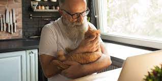 224 lakeshore road west, mississauga (on), l5h 1g6, canada. Global Pet Foods Seniors Day
