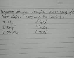 1 Tentukan Bilangan Oksidasi Unsur Yang Di Cetak Tebal Dalam Senyawa Ion Berikut Brainly Co Id