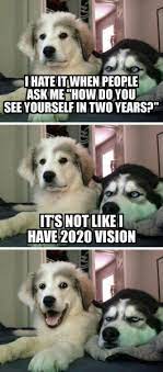 Pin On Bad Pun Dog
