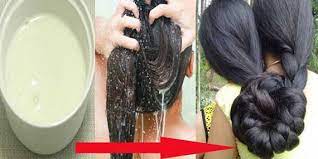 One Shampoo That Will Make Your Hair Grow Like Crazy Everyone Will Be Jealous Of Your Shine Grow Hair Make Hair Grow How To Grow Natural Hair