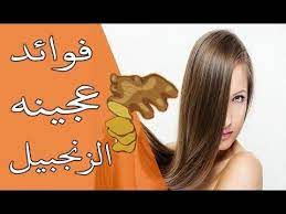 فوائد عجينة الزنجبيل وطريقه استخدامه للشعر Thumbs Up