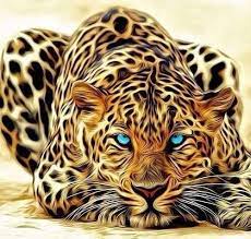 Photos Photo Tiger Tigre Animal Like نمر صور ابداع فوتوغرافي صور صور فوتوغرافي عجائب غرائب رائع حيوانات Animales Leopardos Arte Con Gatos