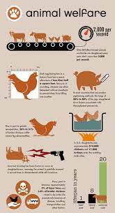 No War But The Class War Animal Welfare Animal Agriculture Animal Rights