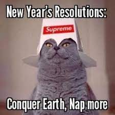 These Cats Are All Ready For 2020 New Year S Resolutions Memes Funny New Years Memes New Years Resolution Funny Happy New Year Funny