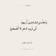 شعر أبو ذؤيب الهذلي وتجلدي للشامتين أريهم عالم الأدب Arabic Calligraphy