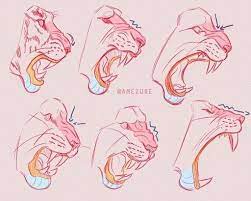 11 4k Likes 12 Comments Drawing Tutorials References Arttoolbook On Instagram Patreon Account Is Up Link I Drawing Tutorial Cat Anatomy Big Cats Art