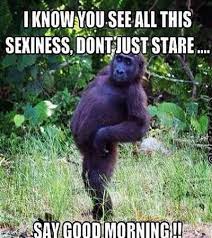 100 Funny Good Morning Memes Memes Of Good Morning Funny Good Morning Memes Funny Morning Memes Morning Quotes Funny