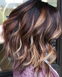 65 Best Brown Hair With Highlights Ideas Dark Medium Light Colors Fall Hair Color For Brunettes Hair Styles Brunette Hair Color