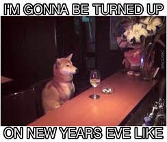 New Years Eve New Years Eve Meme Animal Lover Humor New Years Eve