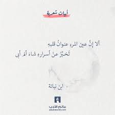 ألا إ ن عين المرء ابن نباتة عالم الأدب Words Quotes Quran Quotes Inspirational Book Quotes