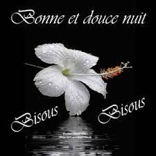 Bonne nuit