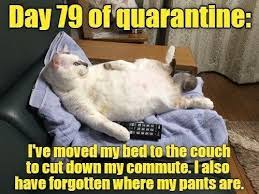 Top 25 Memes Of The Week Cheezburger Users Edition 144 Funny Animal Memes Funny Cat Memes Cat Memes