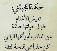 شعر عن الكذب والخداع والغدر Poetry Quotes Lie