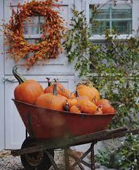 Pin On Fall Ii