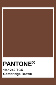 Pantone 19 1242 Tcx Cambridge Brown Brown Pantone Pantone Colour Palettes Brown Color Palette
