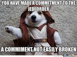 Star Wars Cute Funny Animals Funny Animal Pictures Corgi