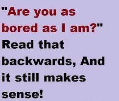 34 Snappy Snarky And Silly Quotes Silly Quotes Bored Quotes Funny Bored Quotes