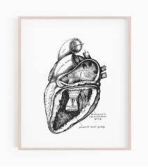 12 x 12 in other sizes. Amazon Com Black And White Heart Print 2 Anatomical Heart Print Vintage Anatomy Print Heart Diagram Anatomy Of Heart Art Heart Drawing Handmade