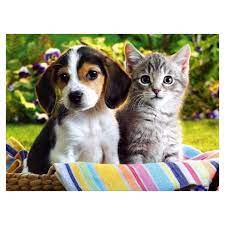 5d Full Drill Dog Cat Cross Stitch Embroidery Mosaic Annebuy Cute Puppies And Kittens Cute Cats And Dogs Kittens And Puppies