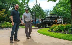 Grassperson Vs Gecko Green Lawn Care Comparing 2 North Texas Lawn Care Companies