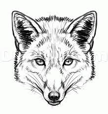 How To Draw Foxes Step By Step Forest Animals Animals Free Online Drawing Tutorial Added By Makangeni Septemb Fox Drawing Fox Sketch Fox Drawing Sketches