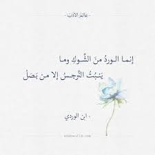 بيت شعر إنما الورد من الشوك ابن الوردي عالم الأدب Arabic Poetry Motivational Phrases Quotations