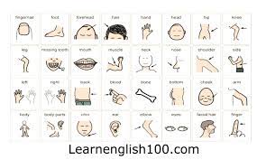اعضاء الجسم بالانجليزي والعربي بالصور و مترجم Learn English Learning Vocabulary