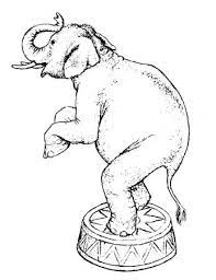 Google Image Result For Http Www Artbyrichardmoore Com Files 406 Circus Eleph Circus Elephant Art Circus Illustration Circus Elephant