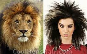 Pin On Funny Animal Hairstyles That Became Popular Among Humans