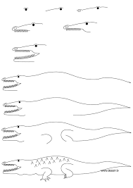 Drawing Crocodile Easy Drawings Childrens Murals Step By Step Drawing