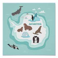 Kids Animal Map Of Antarctica Poster Zazzle Com In 2020 Animals For Kids Arctic Animals For Kids Antarctic Animals
