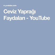 Ceviz Yapragi Faydalari Youtube Youtube Cil Sac