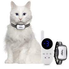 Petsafe indoor cat barrier (adjustable to 2 to 10 feet). Exuby Small Cat Shock Collar W Remote Designed For Training Cats Prevents Unwanted Meowing Scratching Roaming Sound Vibration Shock Modes 9 Levels Water Resistant White Walmart Com Walmart Com