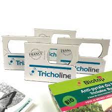 La pyrale du buis ravage les buis de france et d'europe. Trichogrammes Contre La Pyrale Du Buis Tricholine Buxus