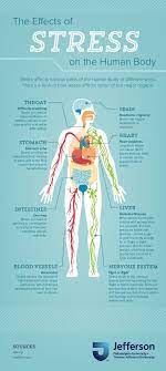 Effects Of Stress On The Body Effects Of Stress Chronic Stress Symptoms Chronic Stress